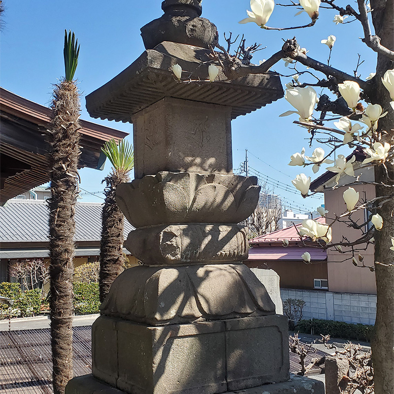 日宮山安楽院・光明寺（群馬県高崎市）